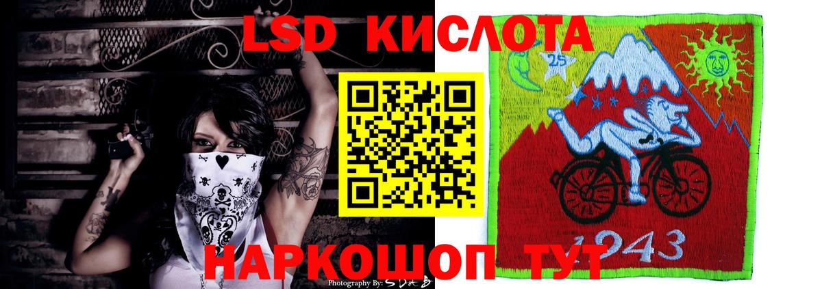 А ПВП Фрязино