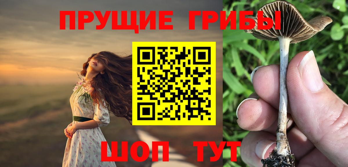 Галлюциногенные грибы мухоморы  Вход с VPN  Галлюциногенные грибы GOLDEN TEACHER  Фрязино 